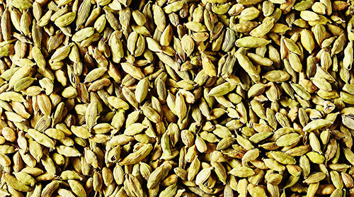 Cardamom